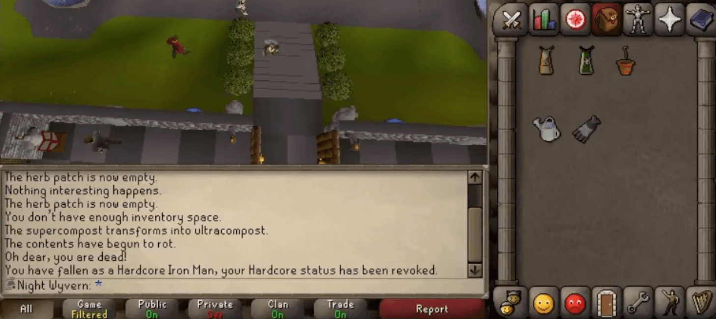 Night Wyvern & The Real HCIM Rise!